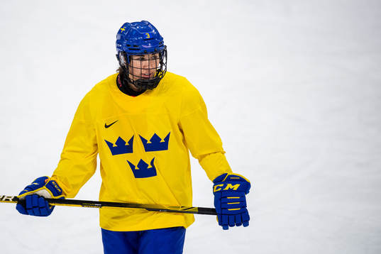 Anna Kjellbin of Sweden women's ice hockey team