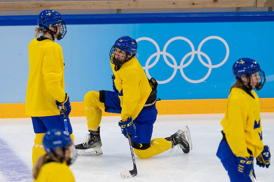 Michelle Löwenhielm of Sweden women's ice hockey team