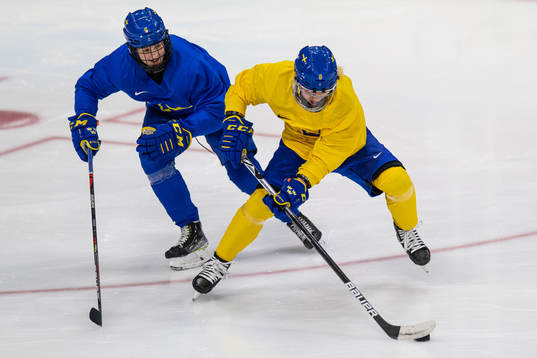 Johanna Fällman and Ebba Berglund of Sweden women's ice