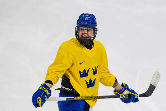 Michelle Löwenhielm of Sweden women's ice hockey team