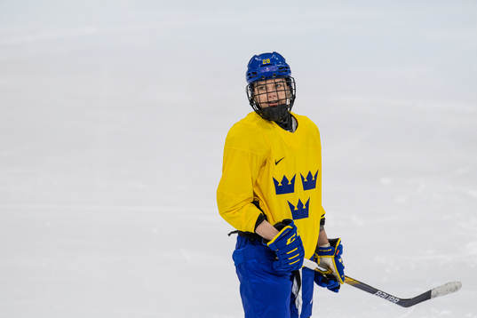 Michelle Löwenhielm of Sweden women's ice hockey team