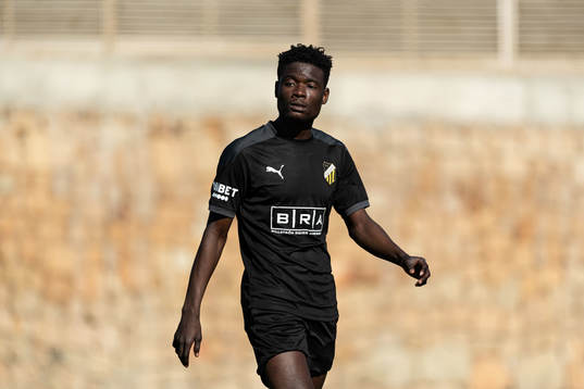 Yannick Armel Assiedou Adjoumani
