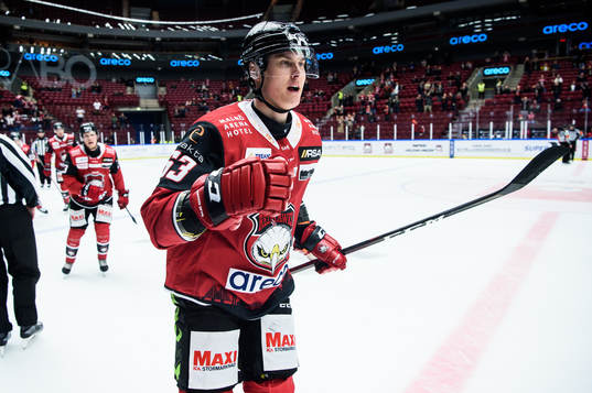 Malmö Redhawks Fredrik Händemark jublar
