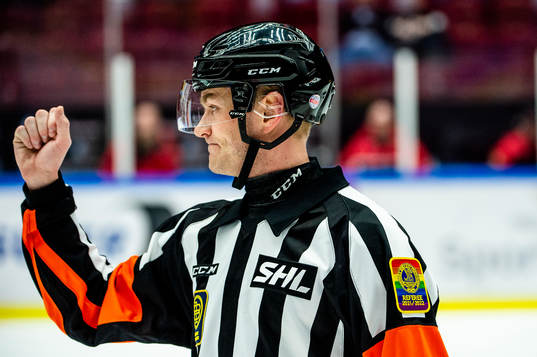 Domare Daniel Eriksson