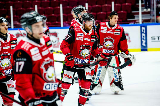 Malmö Redhawks Joakim Ryan deppar med lagkamraterna