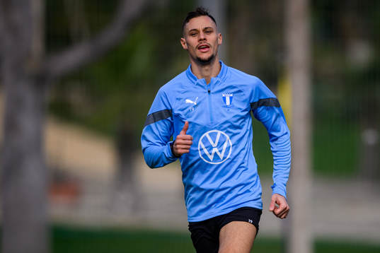 Veljko Birmancevic