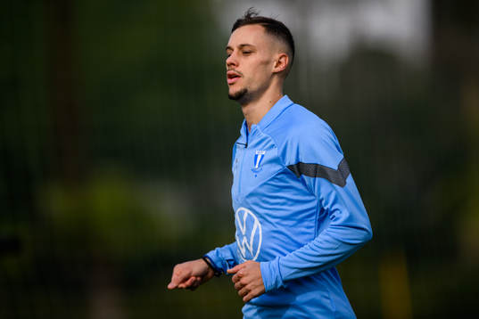 Veljko Birmancevic