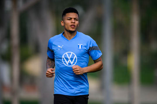 Romain Gall