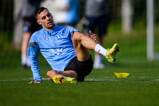 Veljko Birmancevic