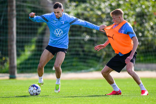 Veljko Birmancevic