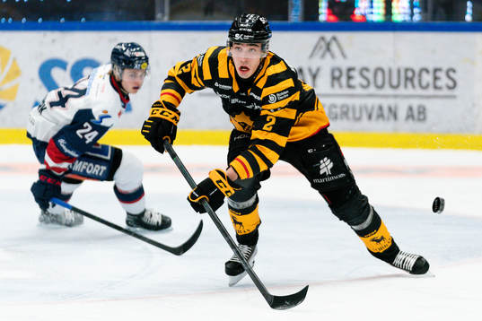 Linköpings Elliot Ekmark och Skellefteås Adam Wilsby