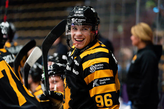 Skellefteås Rickard Hugg