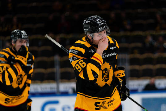 Skellefteås Rickard Hugg