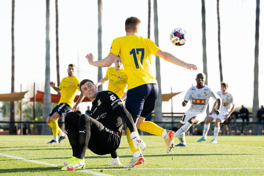 Roalkeeper Sergei Pesyakov and Alexander Silyanov of Rostov