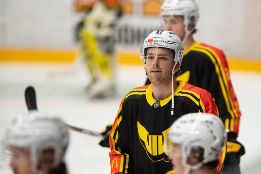 Västerås Logan Roe