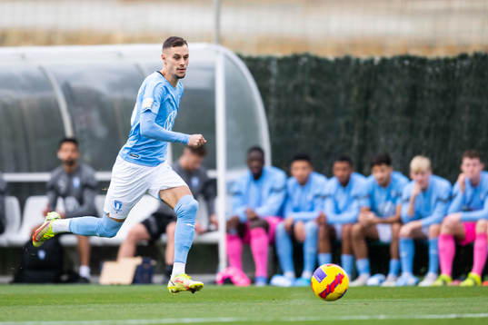 Veljko Birmancevic of Malmö FF