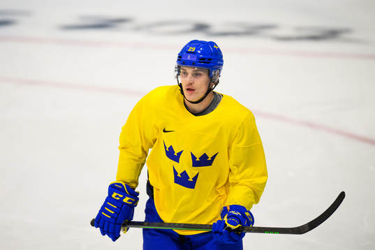 Philip Holm of the Swedish men’s national ice hockey team
