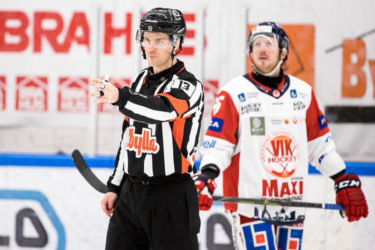 Domare Stefan Johansson
