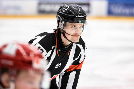 Domare Stefan Johansson