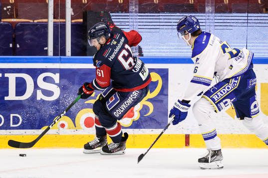 Linköpings Markus Ljungh