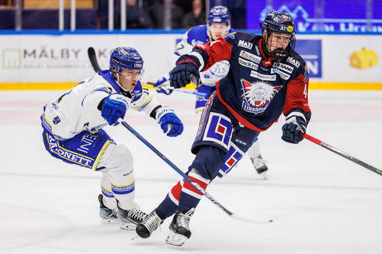 Leksands Martin Karlsson och Linköpings Mattias Hävelid
