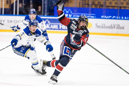 Leksands Martin Karlsson och Linköpings Mattias Hävelid
