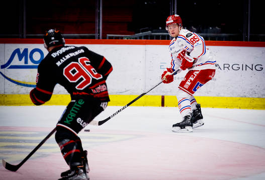 Timrås Filip Westerlund