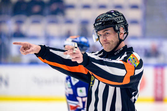 Domare Daniel Eriksson