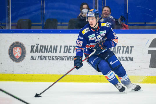 Växjös Theodor Johnsson