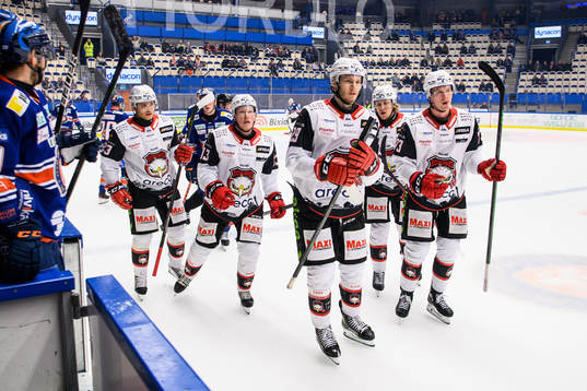 Malmö Redhawks Eric Engstrand jublar