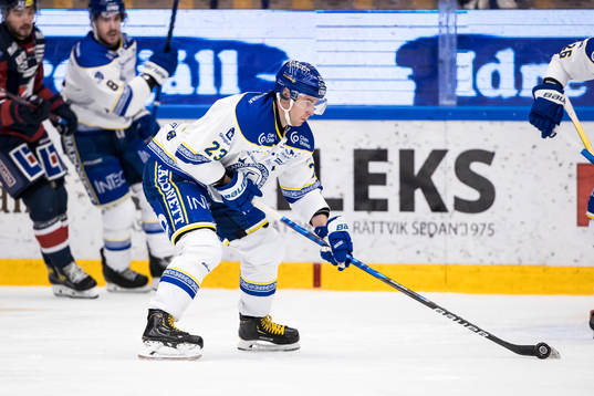 Leksands Mikael Ruohomaa