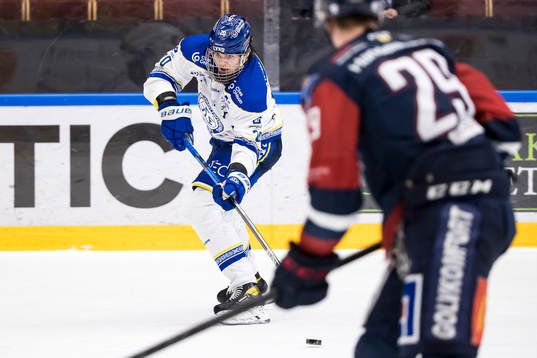 Leksands Lian Bichsel