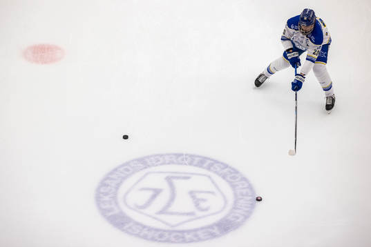 Leksands Lian Bichsel