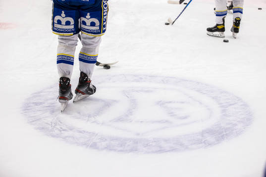 Leksands spelare