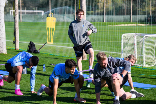Malmö FFs tränare Milos Milojevic