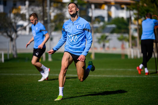 Veljko Birmancevic