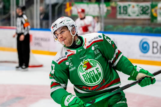 Rögles Leon Bristedt