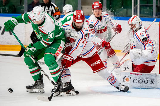 Rögles Ted Brithén