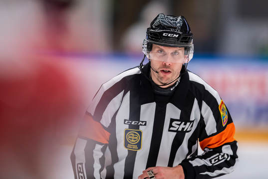 Domare Johan Magnusson