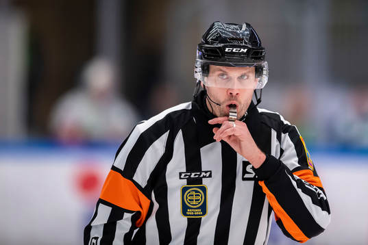 Domare Johan Magnusson