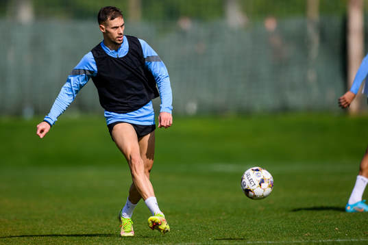 Veljko Birmancevic