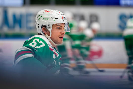 Rögles Leon Bristedt