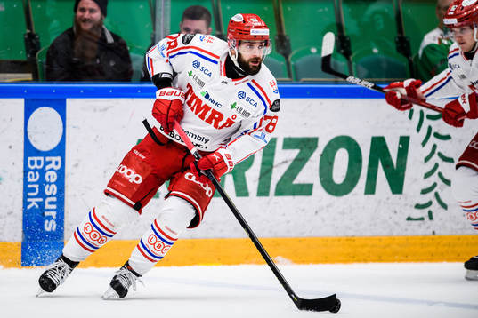 Timrås Robin Hanzl