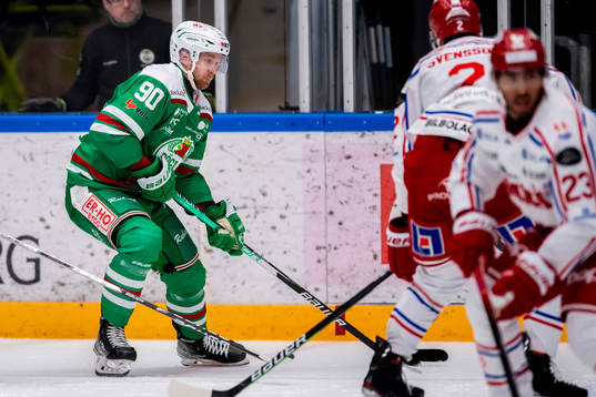 Rögles Ted Brithén