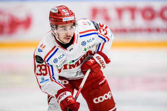 Timrås Ty Rattie