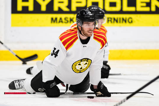 Brynäs målvakt Veini Vehviläinen