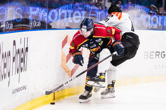Djurgårdens Stefan Warg och Brynäs Greg Scott