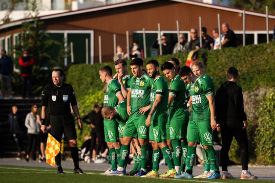 Substitutes for Hammarby