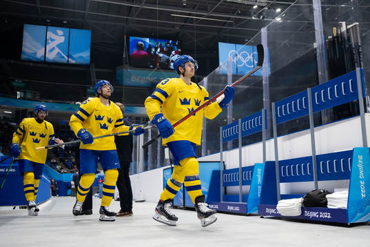 Jacob de la Rose and Lucas Wallmark of Sweden