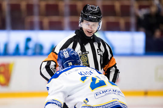 Domare Mikael Andersson